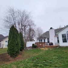 Tree-Removal-and-Yard-Cleanup 2